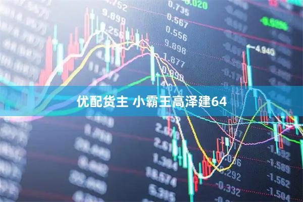 优配货主 小霸王高泽建64