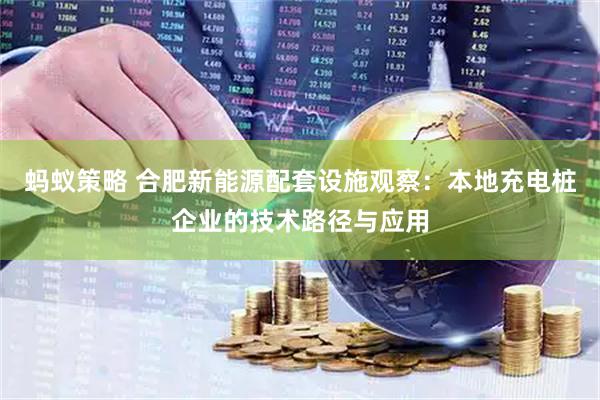 蚂蚁策略 合肥新能源配套设施观察：本地充电桩企业的技术路径与应用