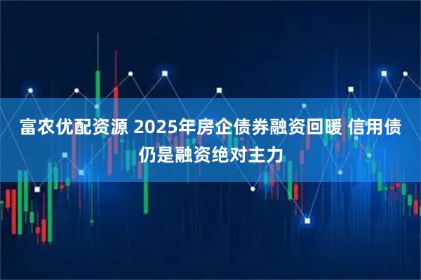 富农优配资源 2025年房企债券融资回暖 信用债仍是融资绝对主力