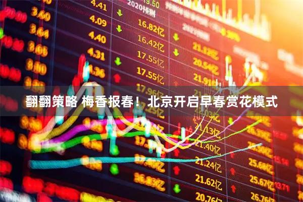 翻翻策略 梅香报春！北京开启早春赏花模式