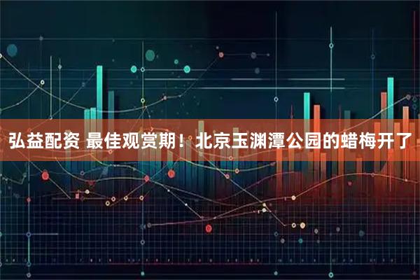 弘益配资 最佳观赏期！北京玉渊潭公园的蜡梅开了