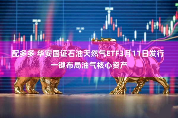 配多多 华安国证石油天然气ETF3月11日发行 一键布局油气核心资产