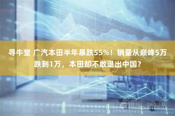 寻牛堂 广汽本田半年暴跌55%！销量从巅峰5万跌到1万，本田却不敢退出中国？