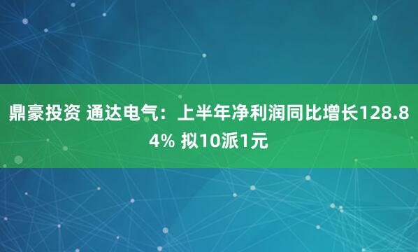 鼎豪投资 通达电气：上半年净利润同比增长128.84% 拟10派1元